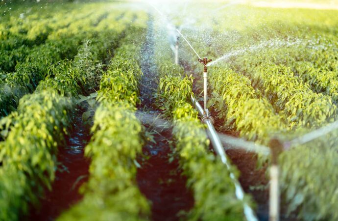 Irrigation Installation & Repairs-New Braunfels TX Landscape Designs & Outdoor Living Areas-We offer Landscape Design, Outdoor Patios & Pergolas, Outdoor Living Spaces, Stonescapes, Residential & Commercial Landscaping, Irrigation Installation & Repairs, Drainage Systems, Landscape Lighting, Outdoor Living Spaces, Tree Service, Lawn Service, and more. Irrigation Installation & Repairs-New Braunfels TX Landscape Designs & Outdoor Living Areas-We offer Landscape Design, Outdoor Patios & Pergolas, Outdoor Living Spaces, Stonescapes, Residential & Commercial Landscaping, Irrigation Installation & Repairs, Drainage Systems, Landscape Lighting, Outdoor Living Spaces, Tree Service, Lawn Service, and more.