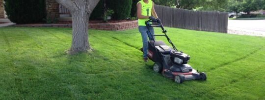 Lawn Service-New Braunfels TX Landscape Designs & Outdoor Living Areas-We offer Landscape Design, Outdoor Patios & Pergolas, Outdoor Living Spaces, Stonescapes, Residential & Commercial Landscaping, Irrigation Installation & Repairs, Drainage Systems, Landscape Lighting, Outdoor Living Spaces, Tree Service, Lawn Service, and more.