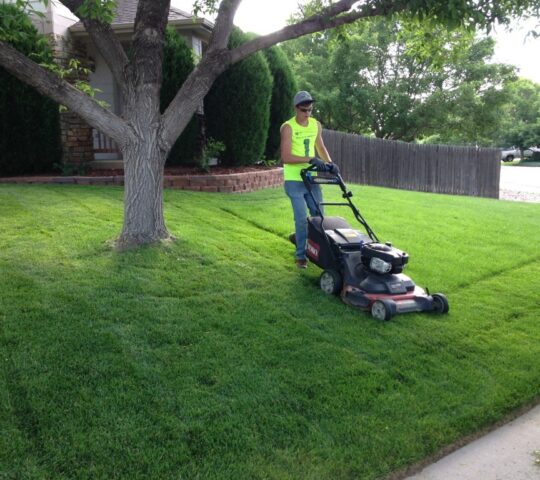 Lawn Service-New Braunfels TX Landscape Designs & Outdoor Living Areas-We offer Landscape Design, Outdoor Patios & Pergolas, Outdoor Living Spaces, Stonescapes, Residential & Commercial Landscaping, Irrigation Installation & Repairs, Drainage Systems, Landscape Lighting, Outdoor Living Spaces, Tree Service, Lawn Service, and more.