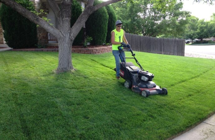 Lawn Service-New Braunfels TX Landscape Designs & Outdoor Living Areas-We offer Landscape Design, Outdoor Patios & Pergolas, Outdoor Living Spaces, Stonescapes, Residential & Commercial Landscaping, Irrigation Installation & Repairs, Drainage Systems, Landscape Lighting, Outdoor Living Spaces, Tree Service, Lawn Service, and more.