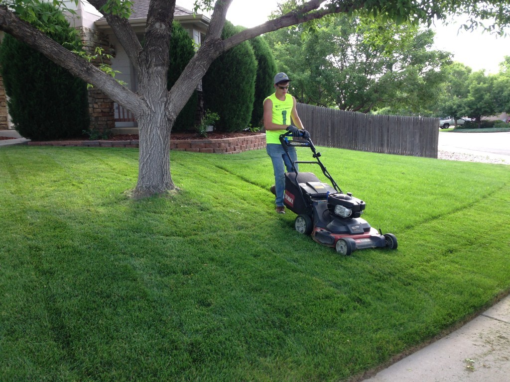 Lawn Service-New Braunfels TX Landscape Designs & Outdoor Living Areas-We offer Landscape Design, Outdoor Patios & Pergolas, Outdoor Living Spaces, Stonescapes, Residential & Commercial Landscaping, Irrigation Installation & Repairs, Drainage Systems, Landscape Lighting, Outdoor Living Spaces, Tree Service, Lawn Service, and more.