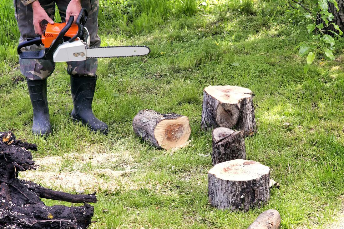 Tree Service - New Braunfels TX Landscape Designs & Outdoor Living Areas